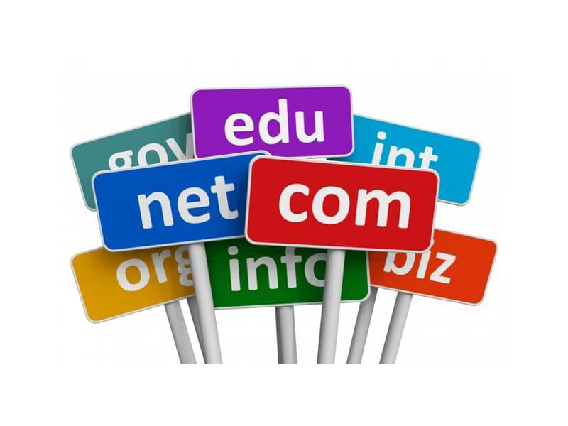 Domain uzantıları ve anlamları nelerdir